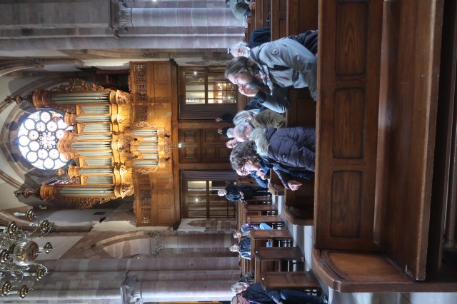 Silbermann Orgeltage 2024